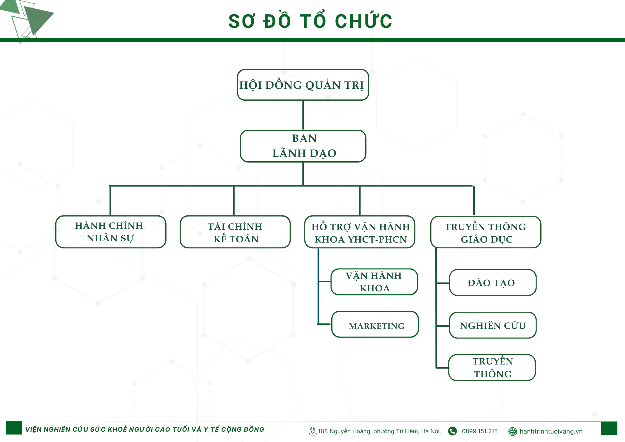 sơ đồ tổ chức